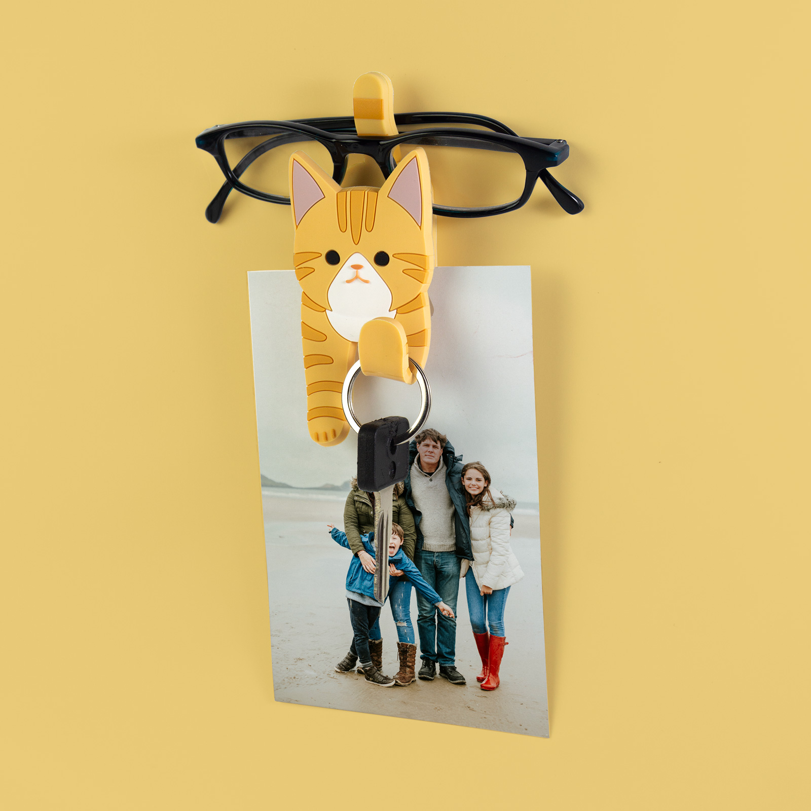Magnete CLIP & HOOK Cat 2er Set multicolor