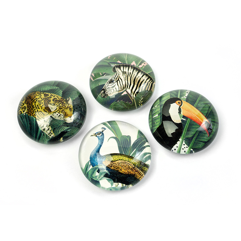 EYE magnets ROYAL GARDEN set of 4 