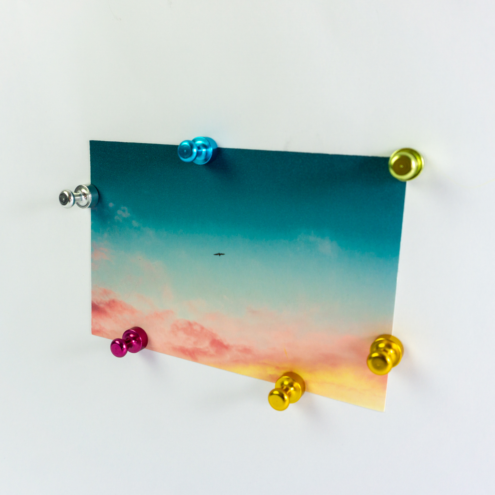 Magnete ELOX 6er Set multicolor