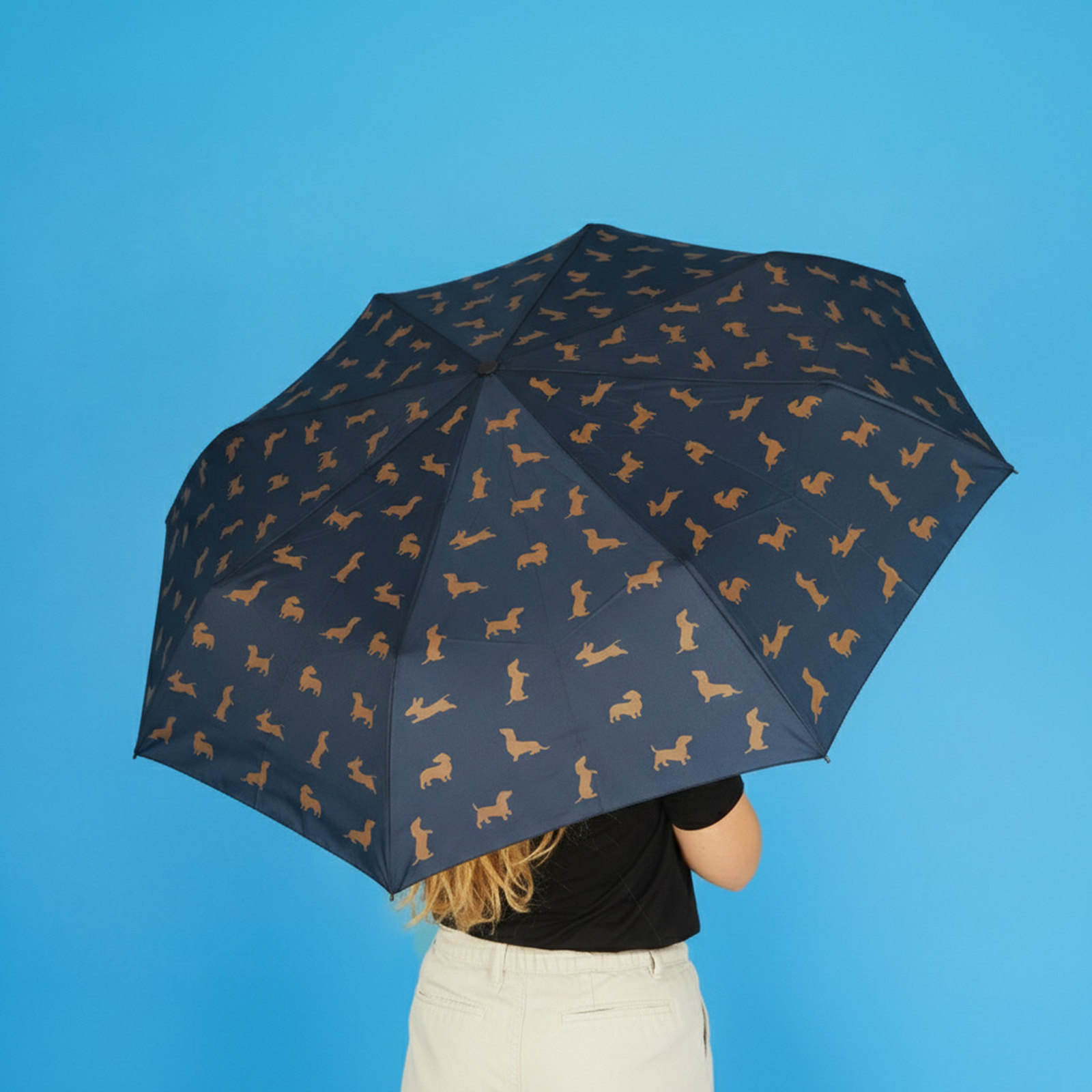 Schirm TECKEL schwarz mit Cover