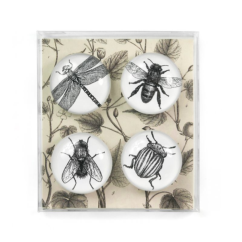 EYE magnets BUG set of 4 