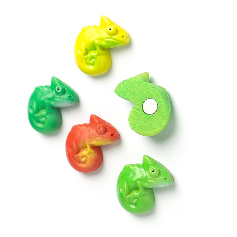 Magnets CHAMELEON set of 5  