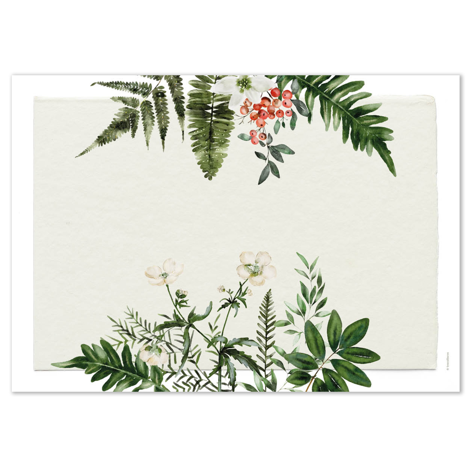 Paper placemat GREENHOUSE 4 x 12 sheets