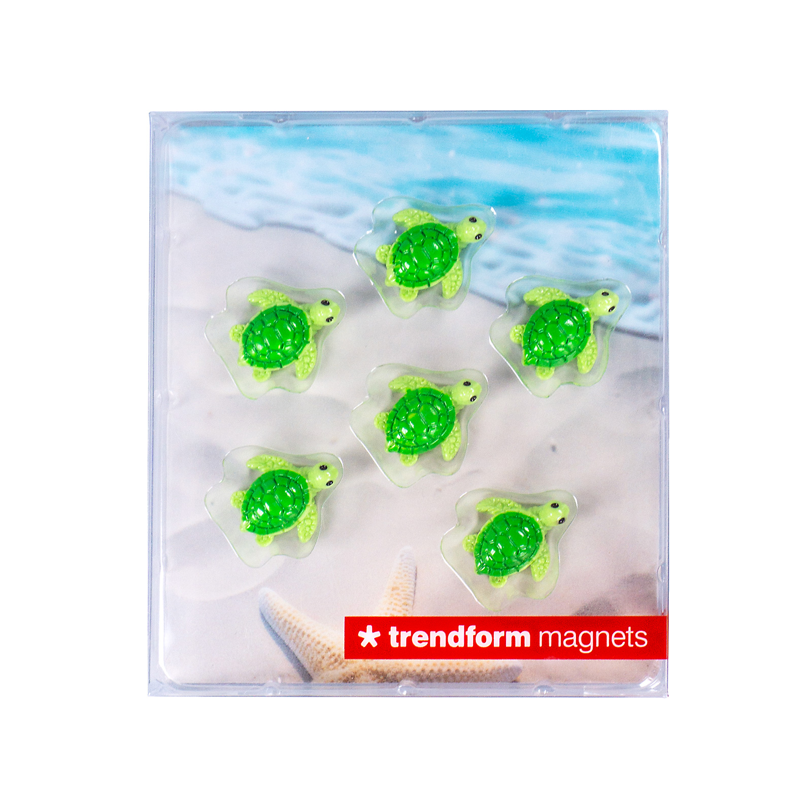 Magnete BABY TURTLE 5er Set grün