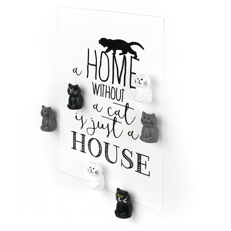 Magnets CAT set of 6  