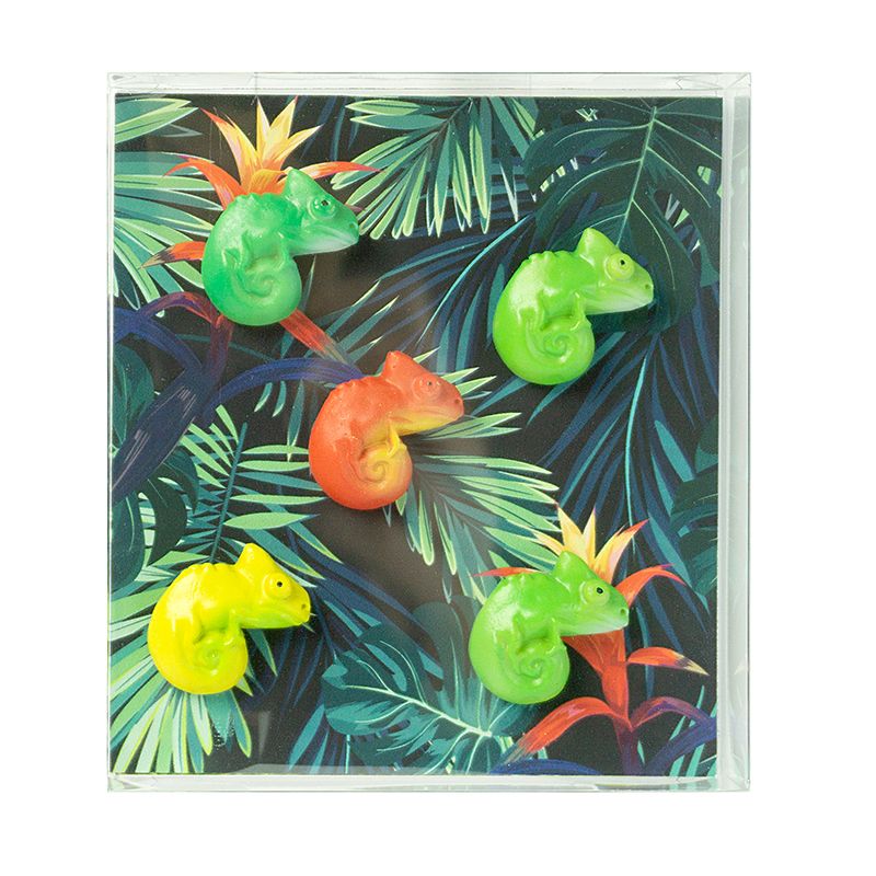 Magnets CHAMELEON set of 5  