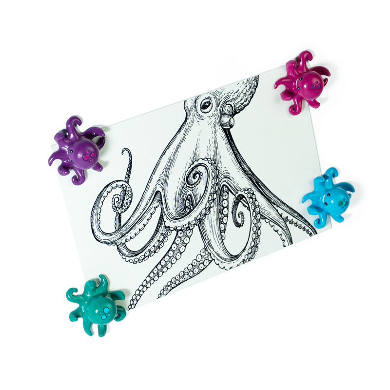 Magnets OCTOPUS set of 4 