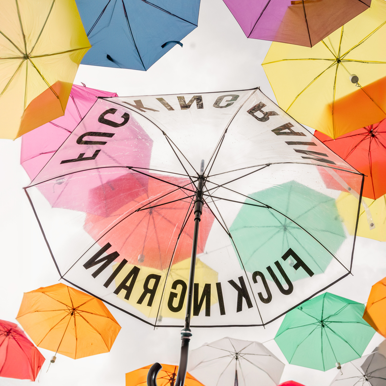 Stockschirm FUCKING RAIN transparent