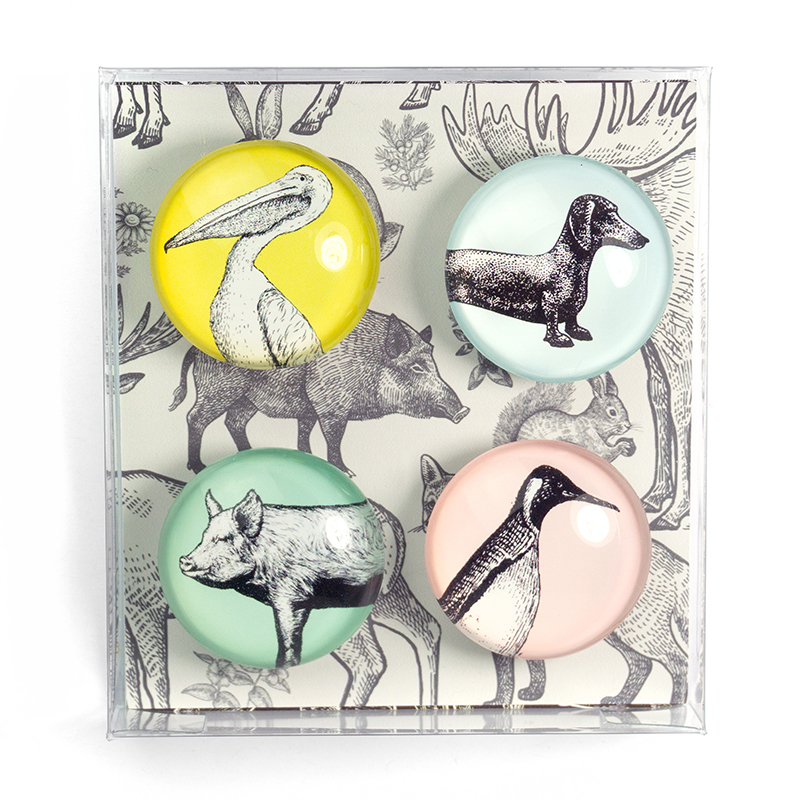 EYE magnets ANIMAL set of 4 