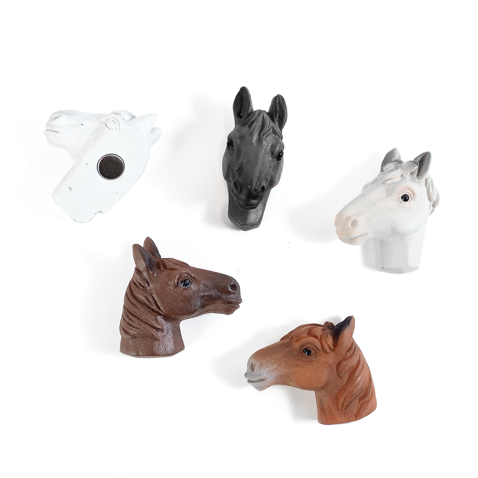 Magnets HORSE set of 5 multicolor 