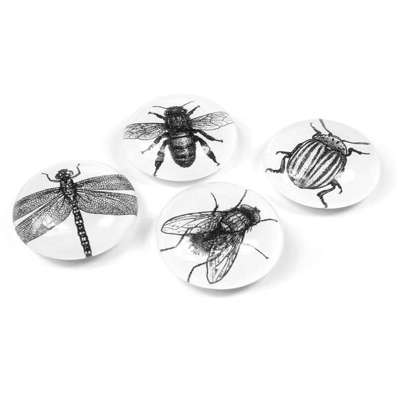 EYE magnets BUG set of 4 