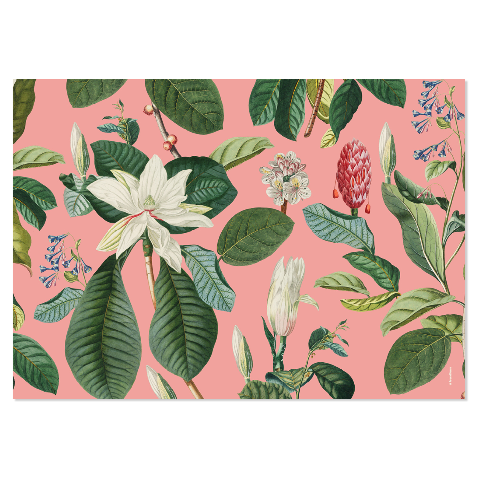 Paper placemat MAGNOLIA 4 x 12 sheets