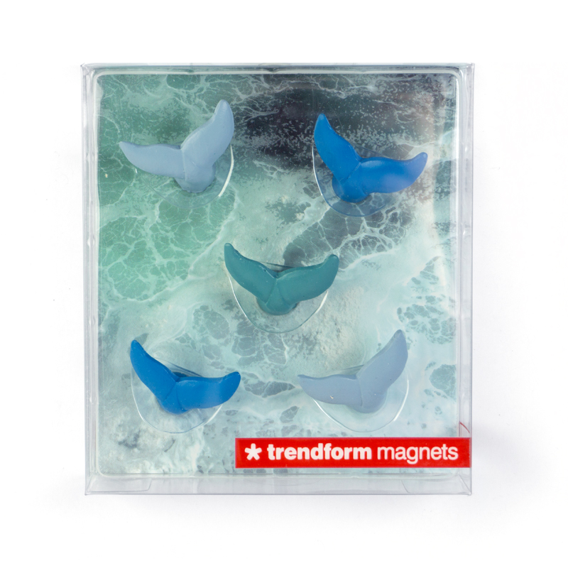 Magnets BLUE WHALE set of 5  