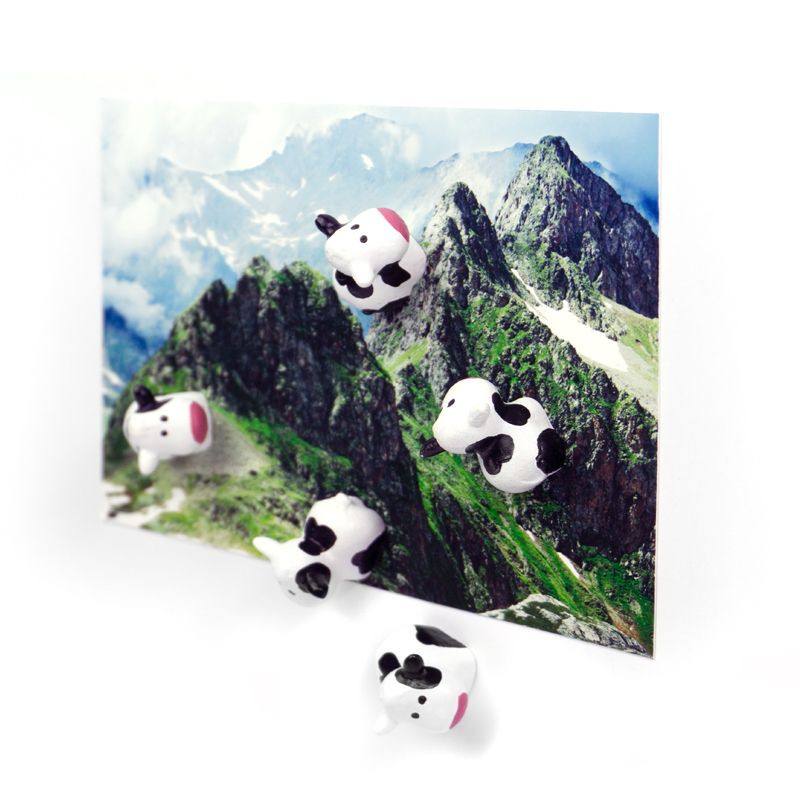 Magnets COW set of 6  