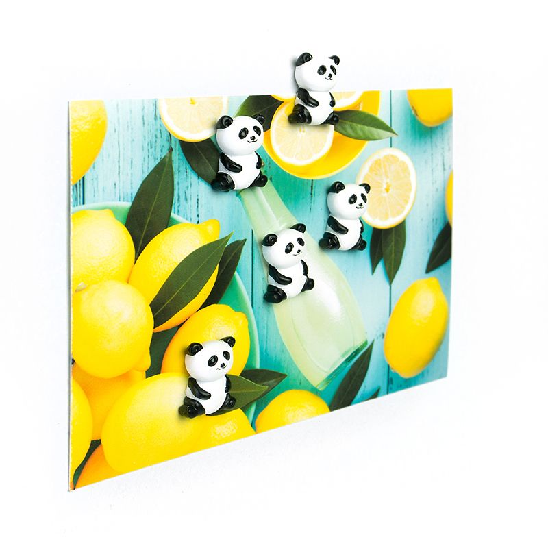 Magnets PANDA set of 5  