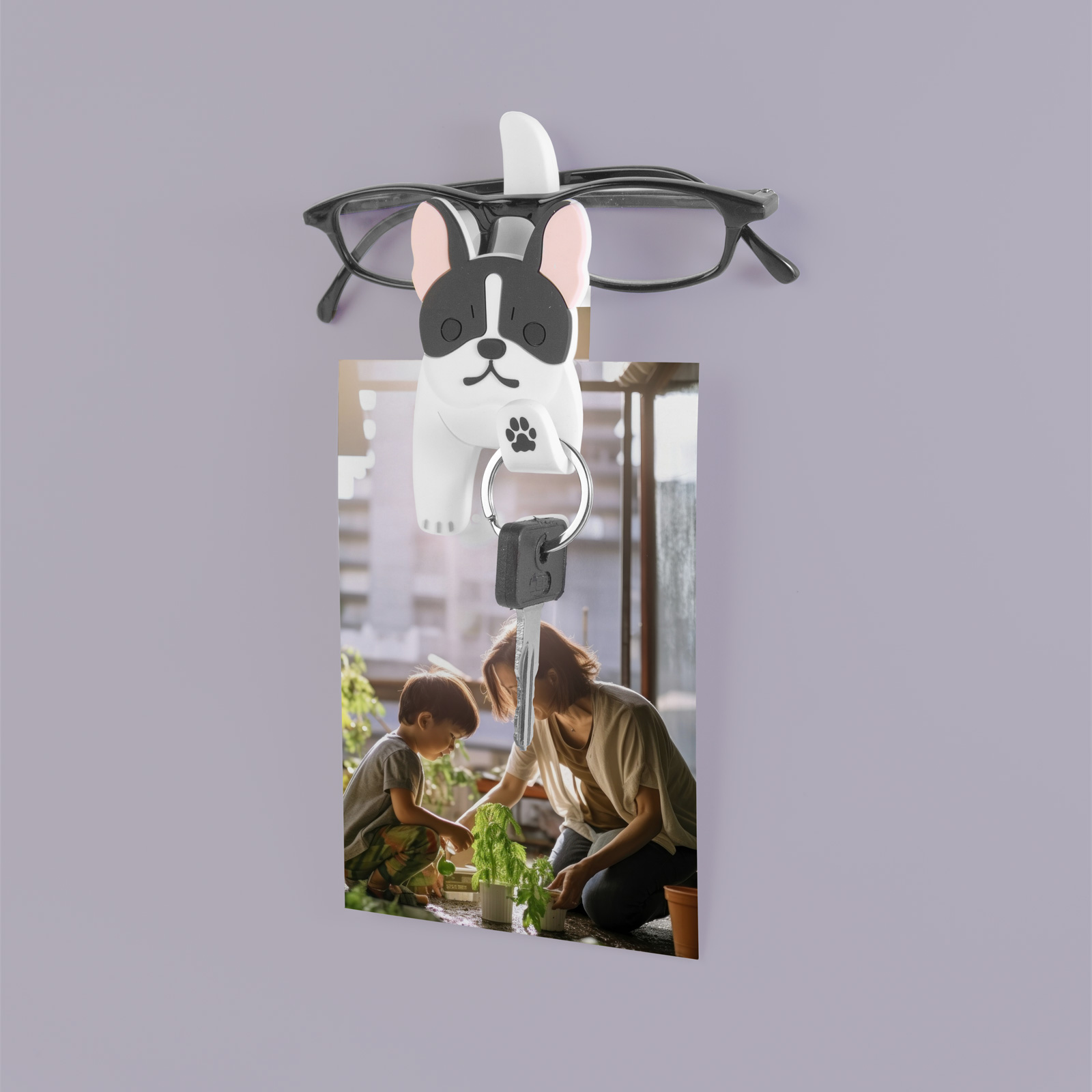 Magnete CLIP & HOOK Dog 2er Set multicolor
