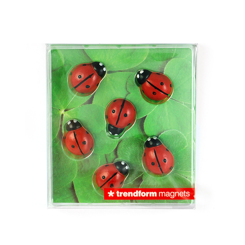 Magnets LADYBUG set of 6 red 