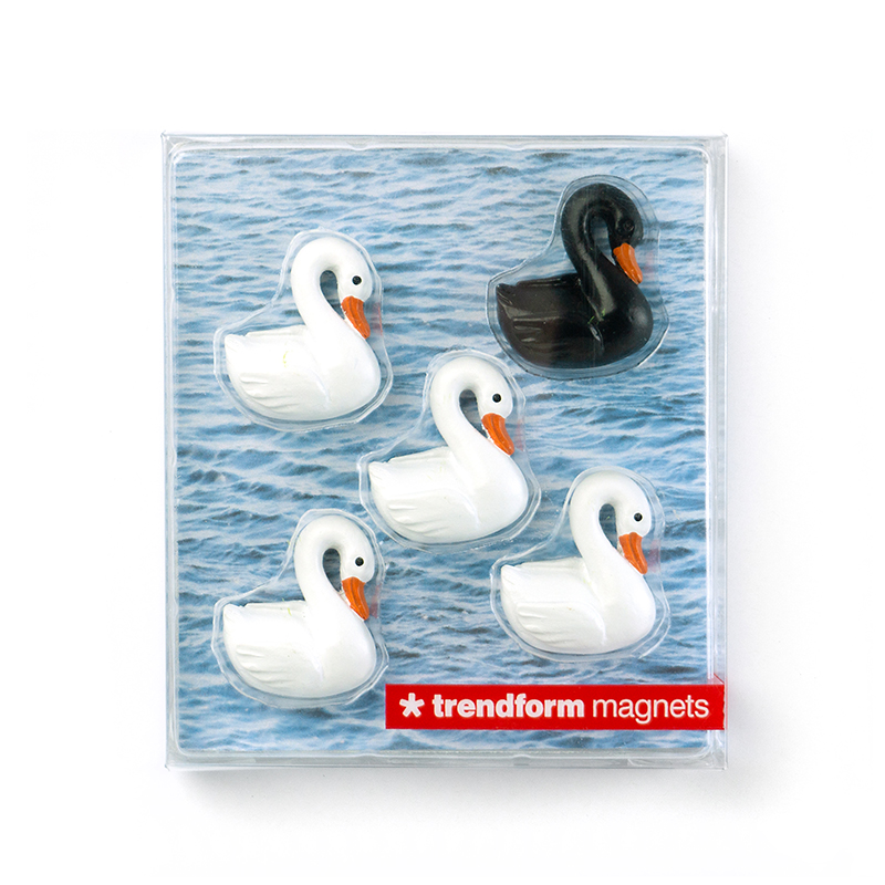 Magnete SWAN 5er Set  