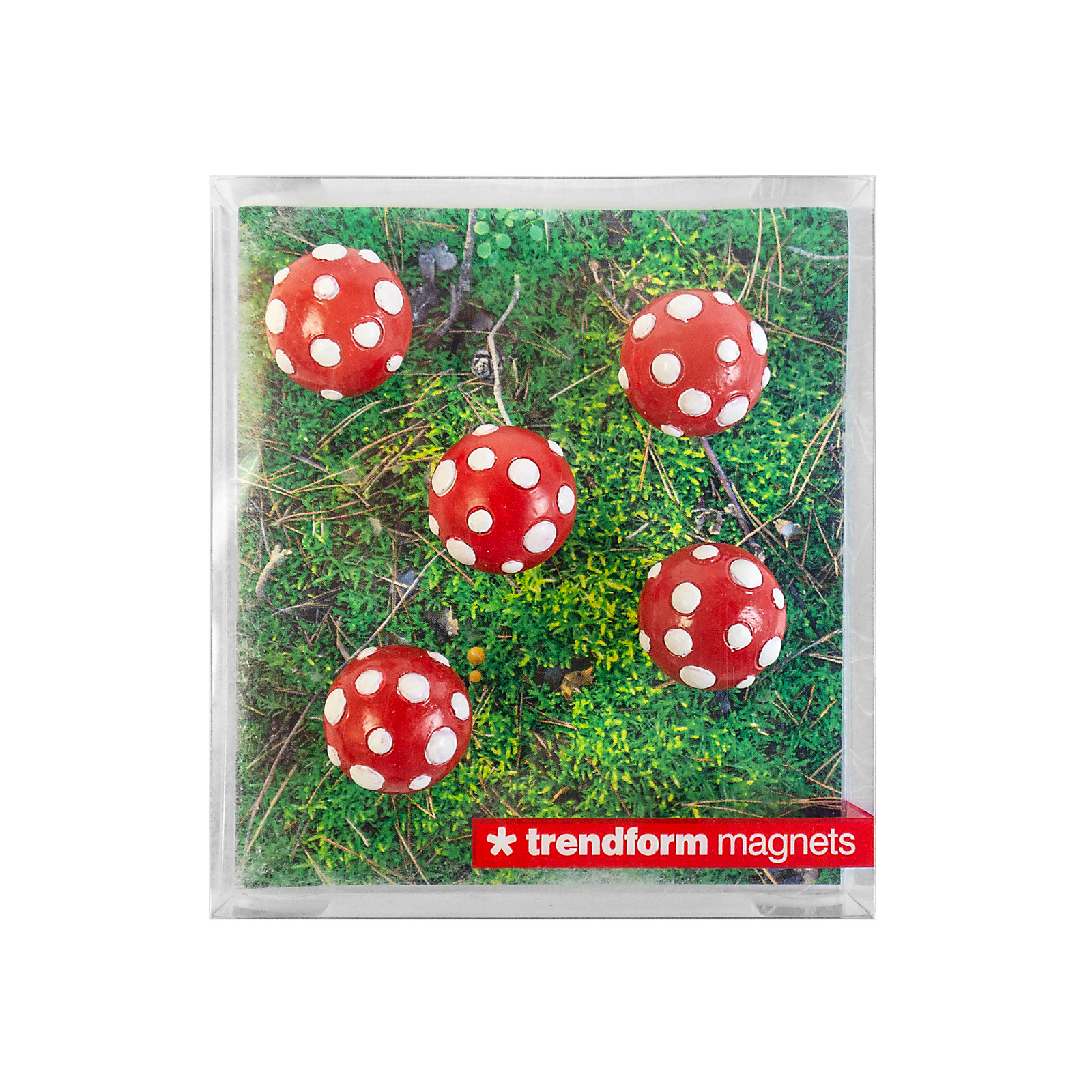 Magnets MUSHROOM set of 5 multicolor 