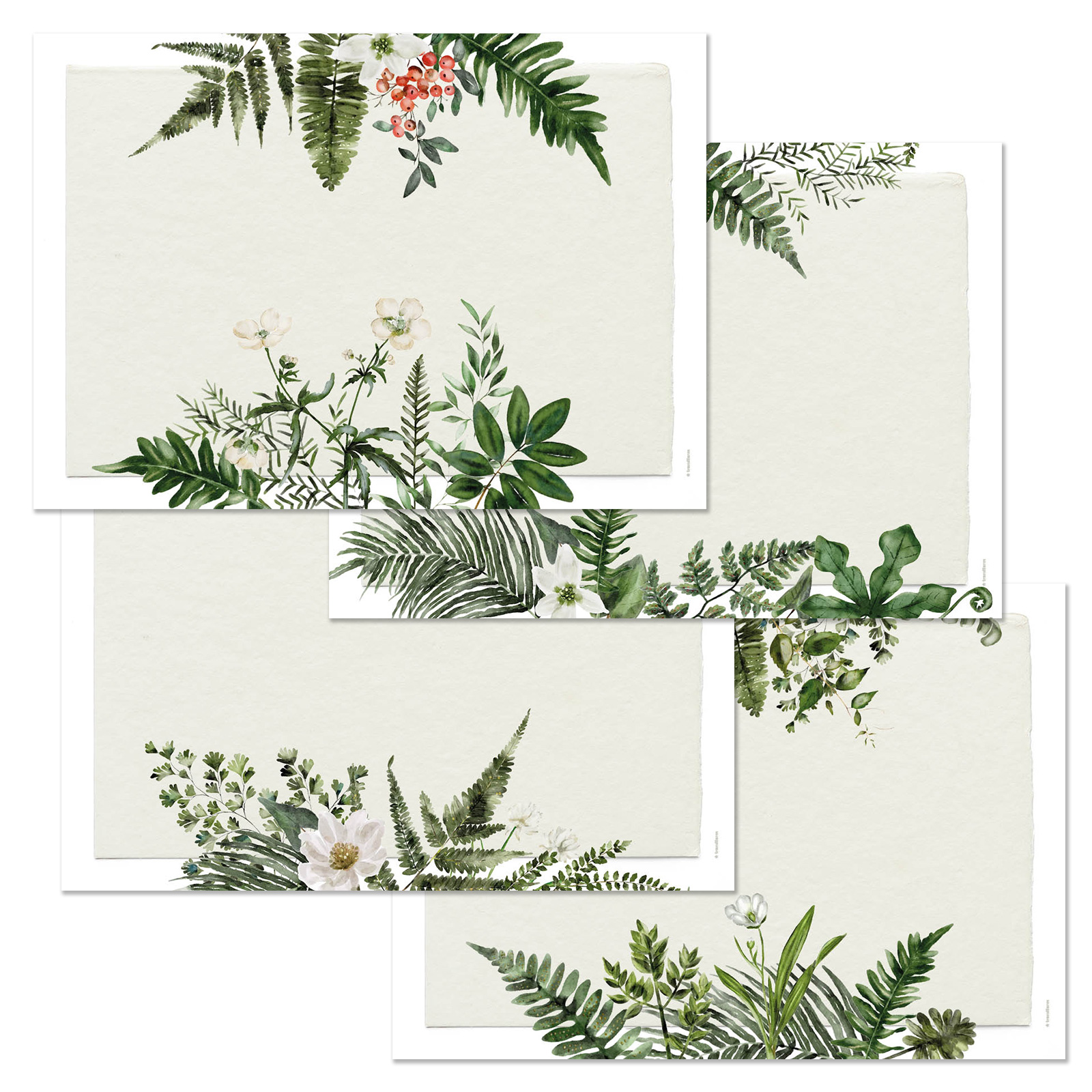 Paper placemat GREENHOUSE 4 x 12 sheets