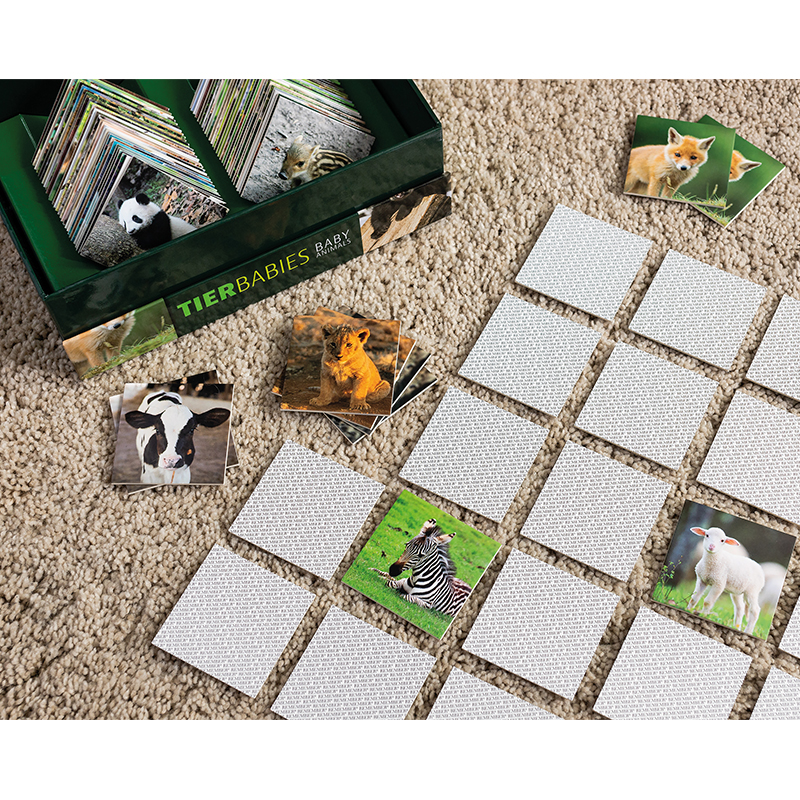 Gedächtnisspiel 44 Tierbabies in der Magnetbox