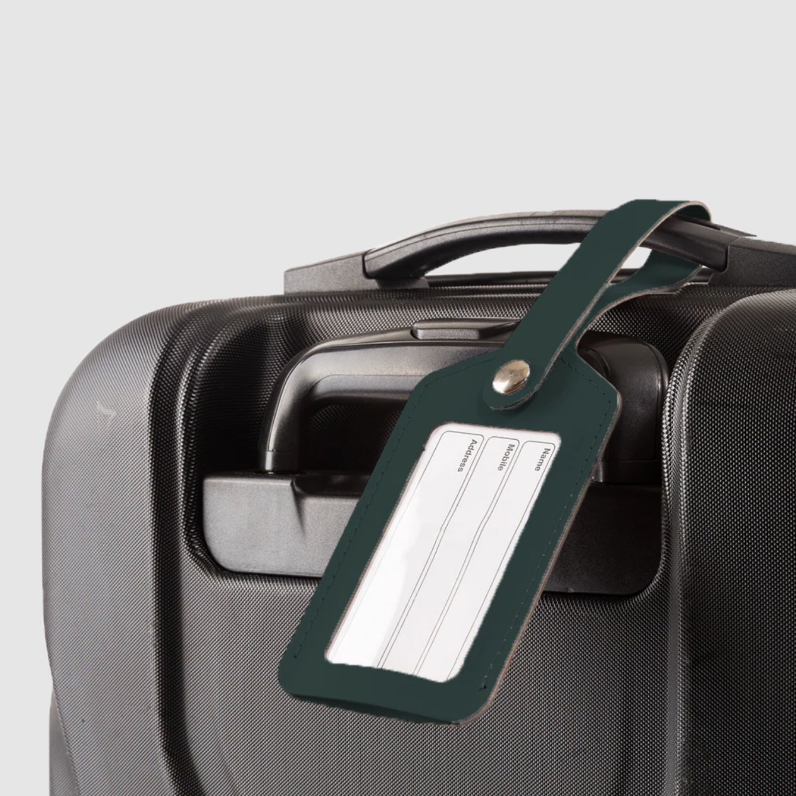 Urban Window Luggage Tag Green