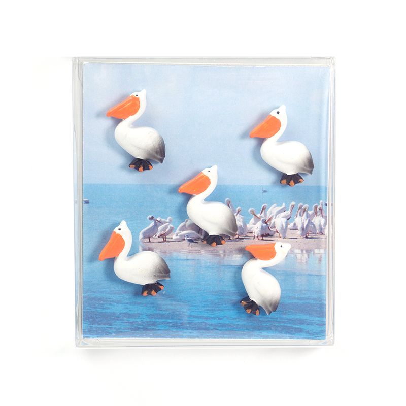 Magnets PELICAN set of 5  