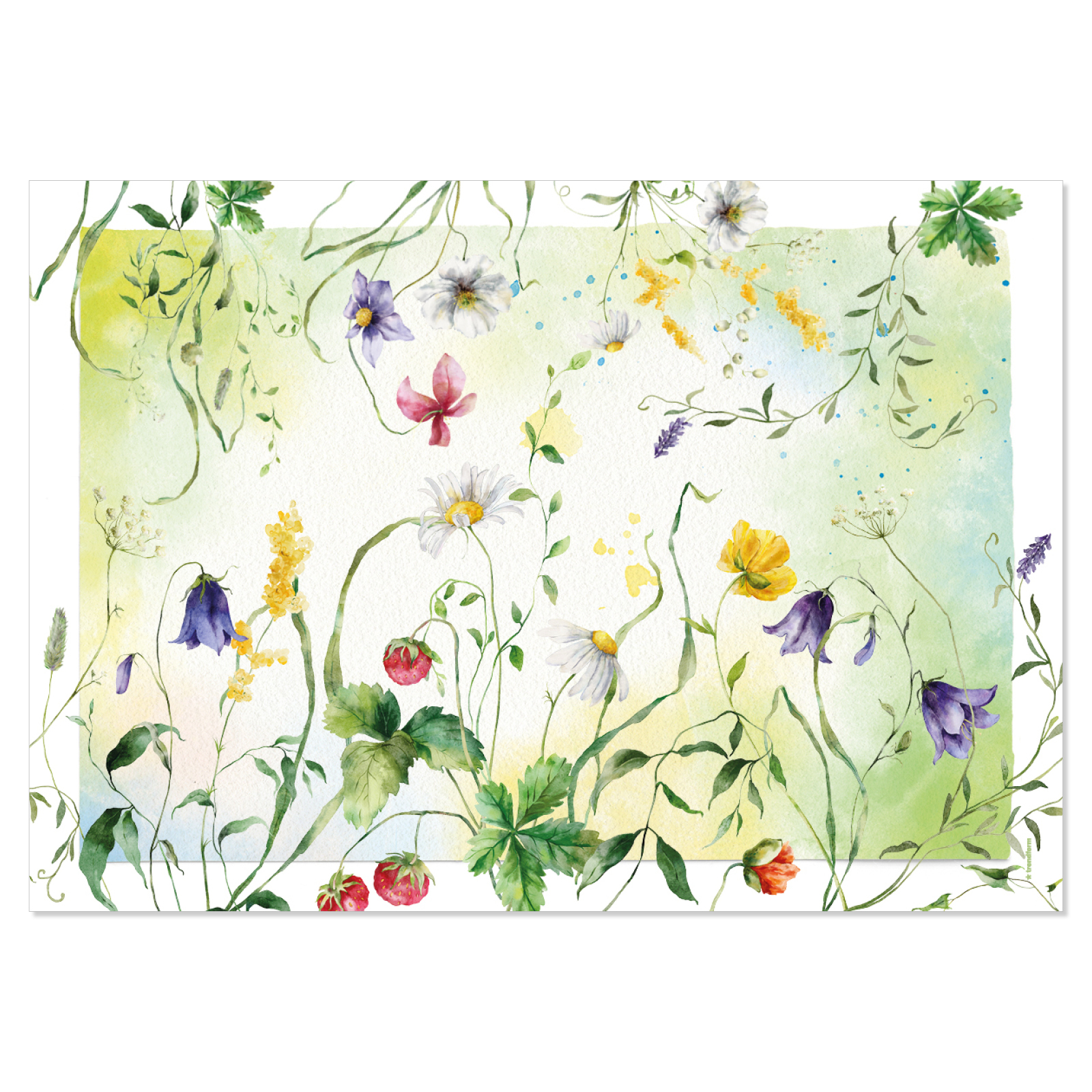 Sets de table en papier WILD FLOWER 4 x 12 feuilles