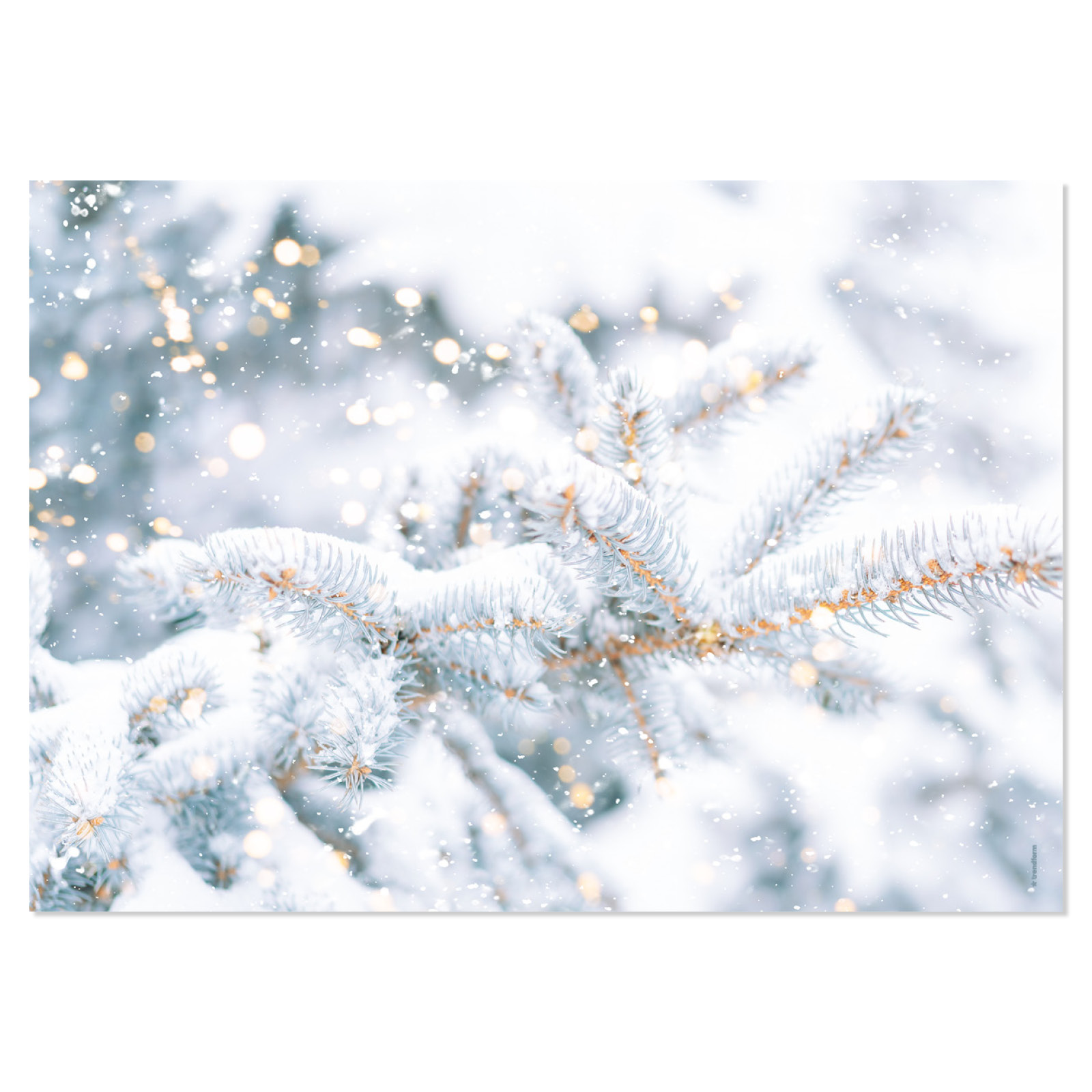 Papiertischset SNOWY PINES 4 Sujets à 12 Blatt