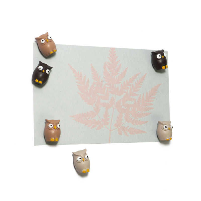 Magnets OWL set of 6  