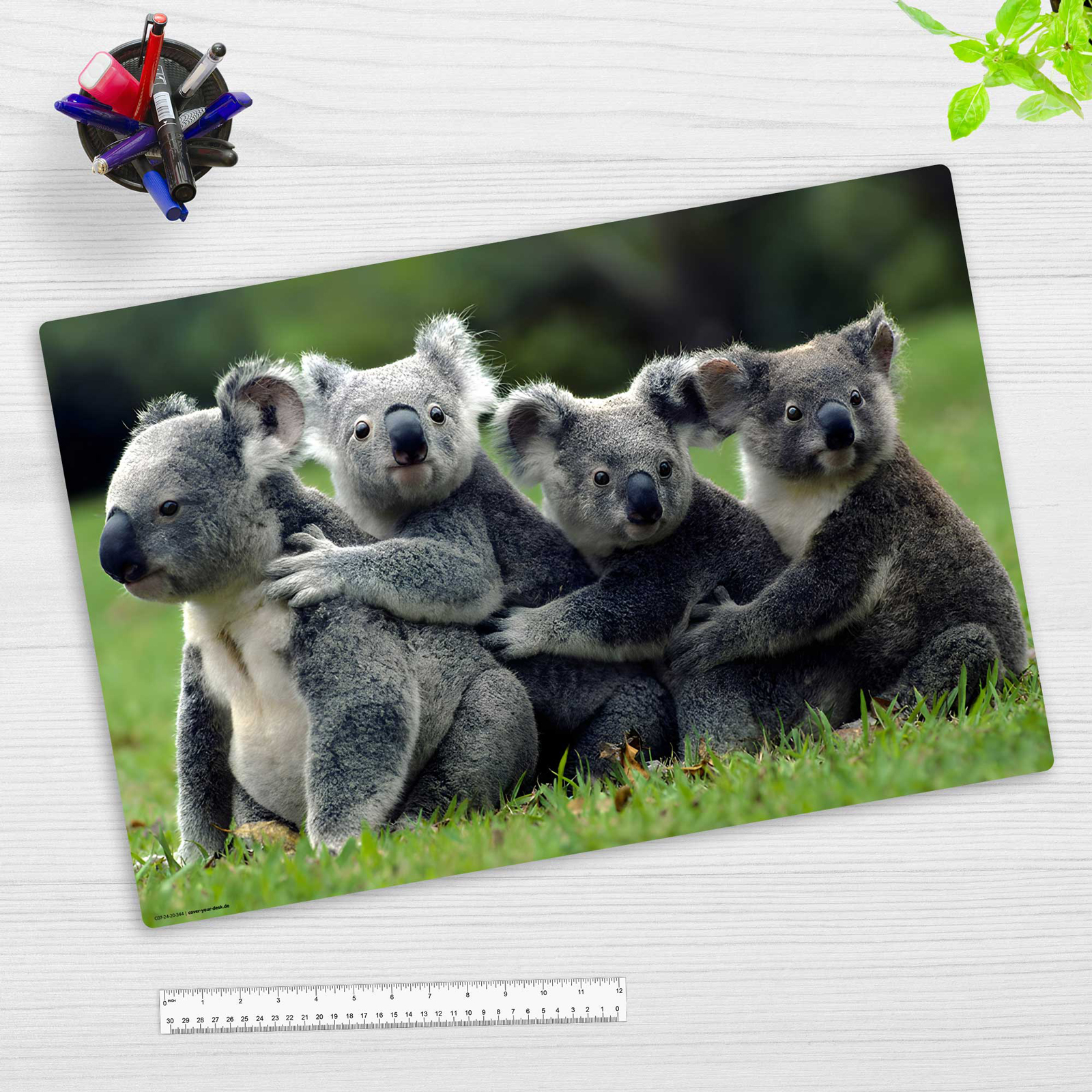 Schreibunterlage KOALA