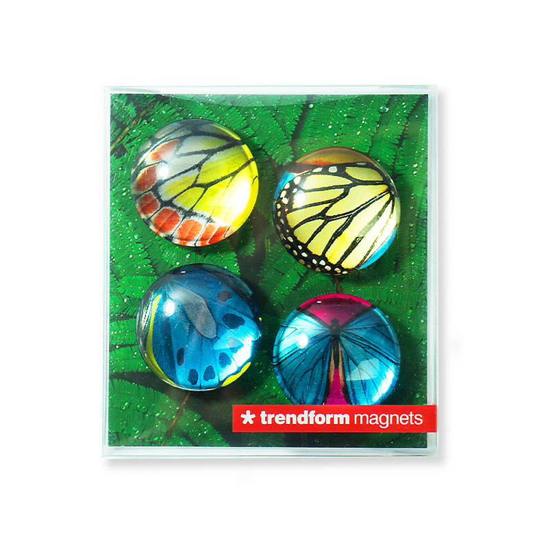 EYE magnets BUTTERFLY set of 4 