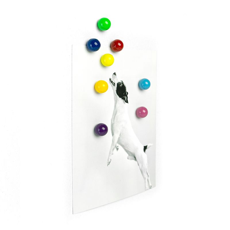 Magnets RAINBALL set of 8  