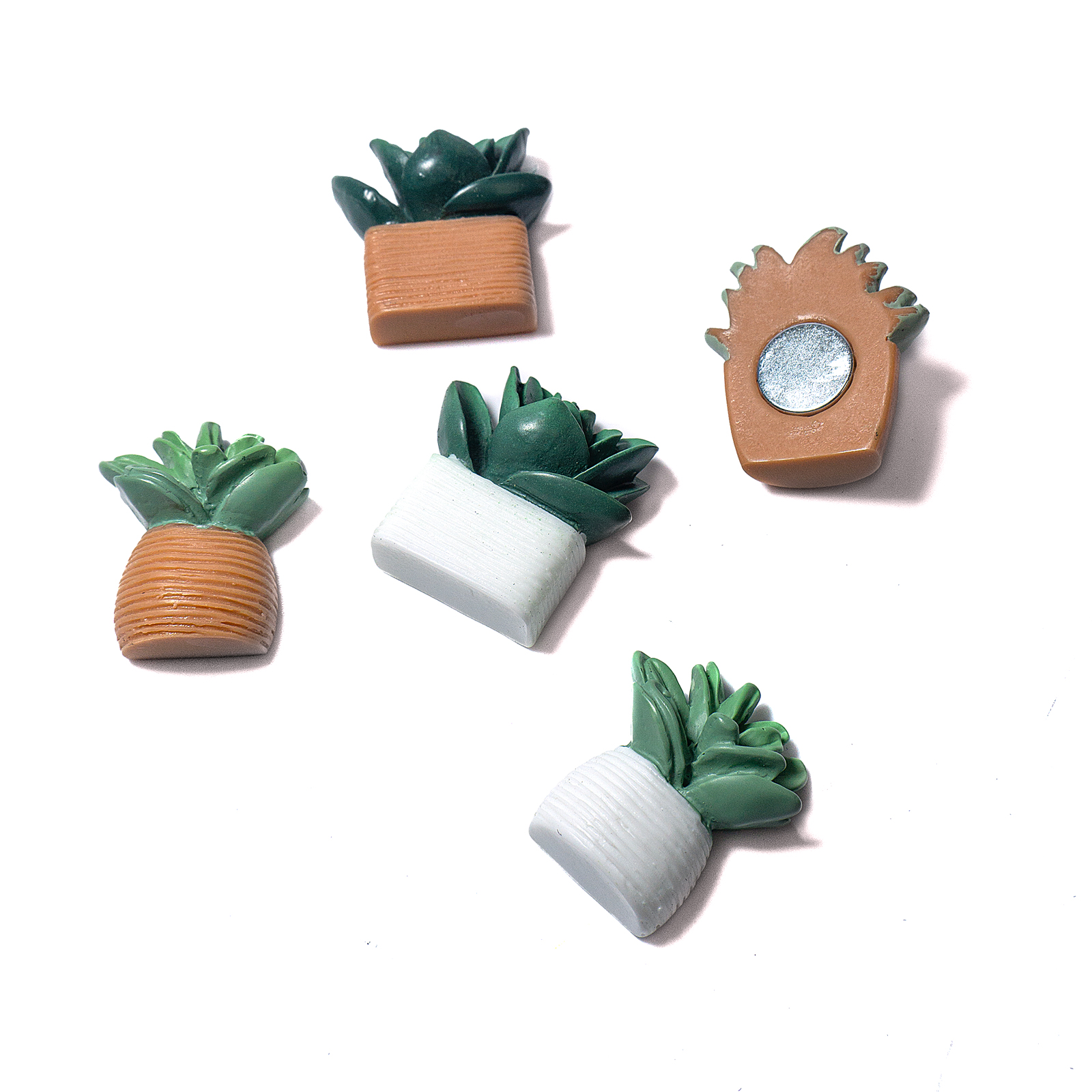 Magnets CACTUS set of 5 multicolor 