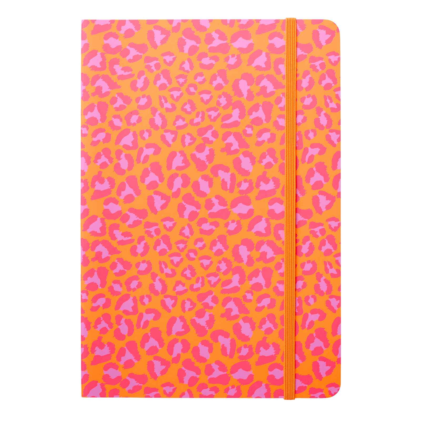 Notizbuch A5 LEO NEON