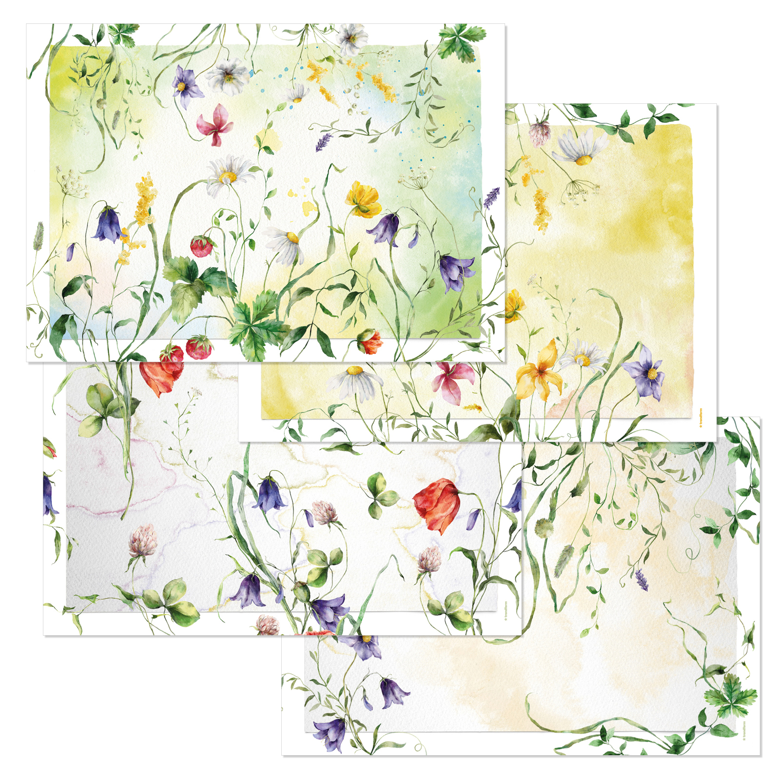 Paper placemat WILD FLOWER 4 x 12 sheets