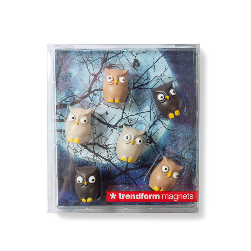 Magnets OWL set of 6  