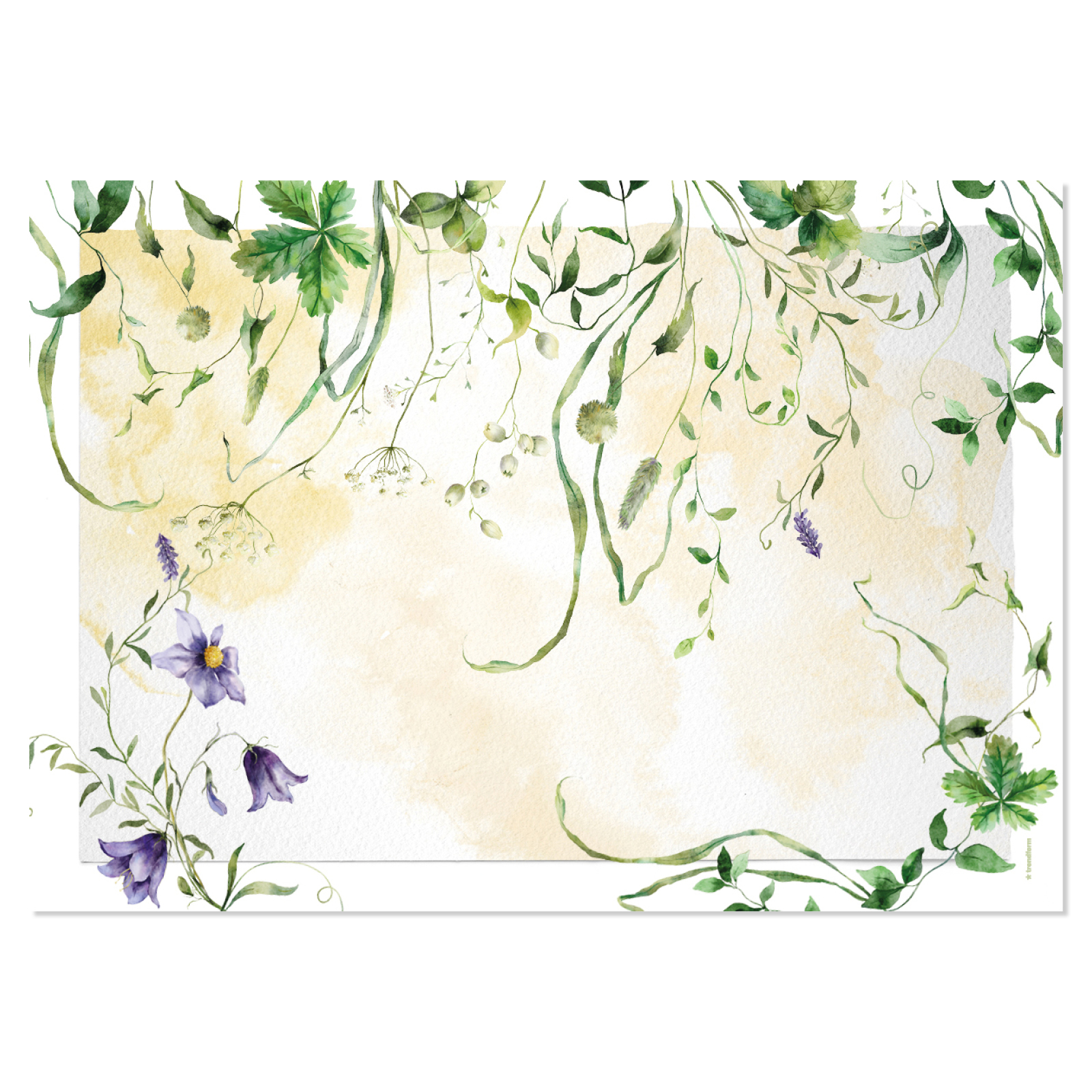 Sets de table en papier WILD FLOWER 4 x 12 feuilles