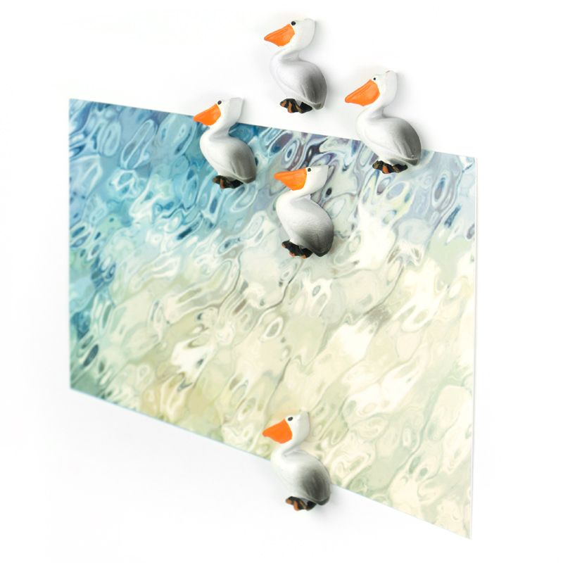 Magnets PELICAN set of 5  