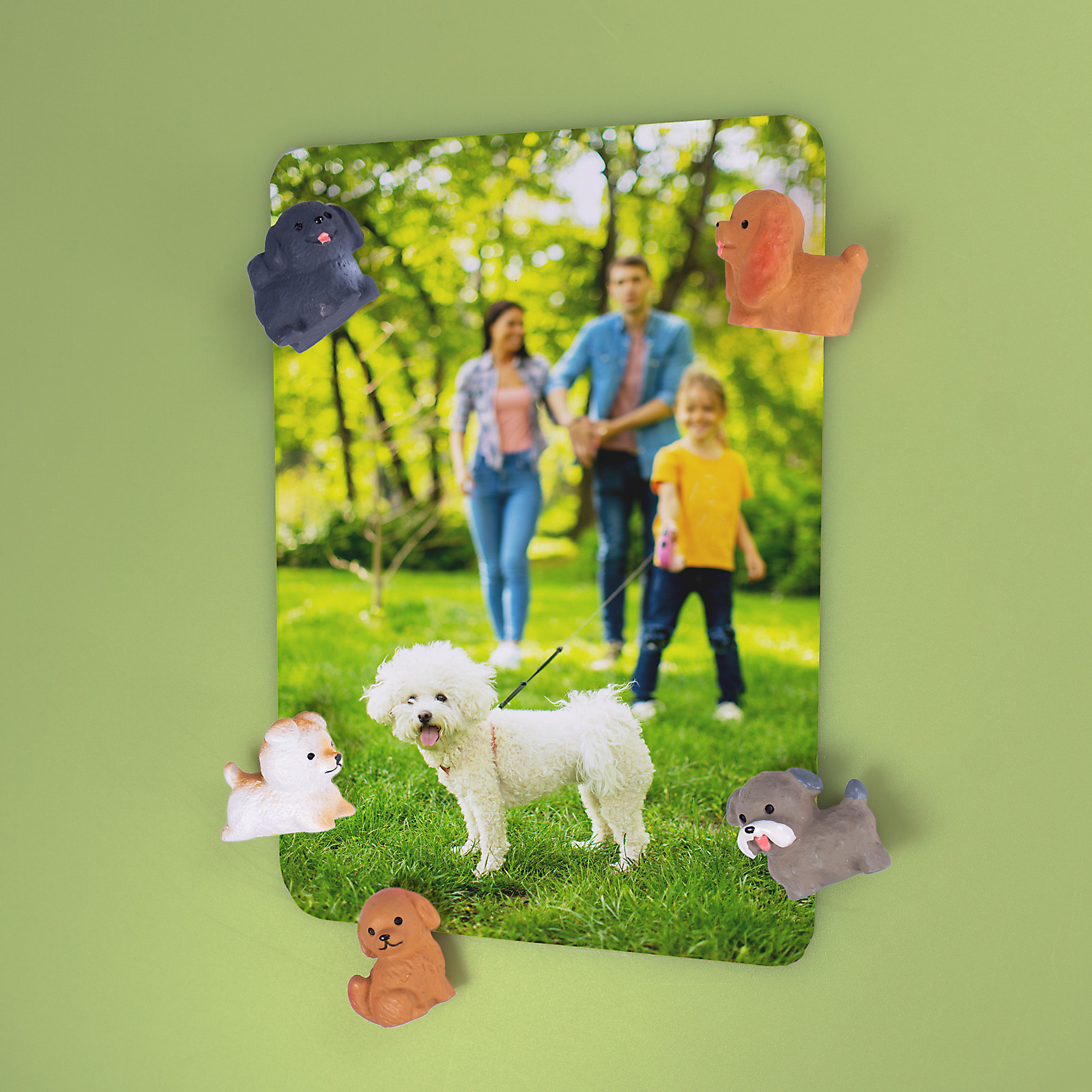Aimants PUPPY set de 5 multicolore