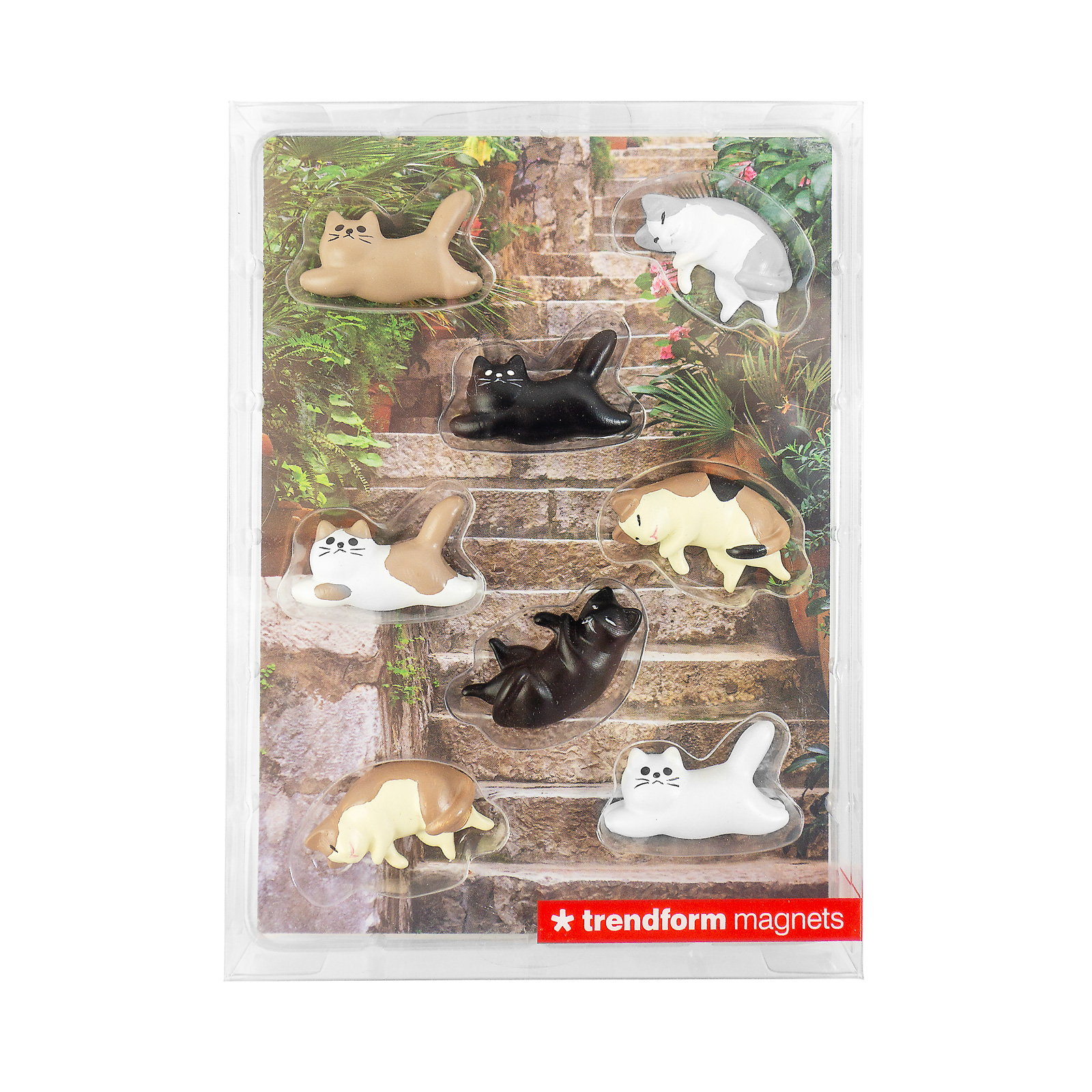 Aimants LAZY CATS set de 8 multicolore 