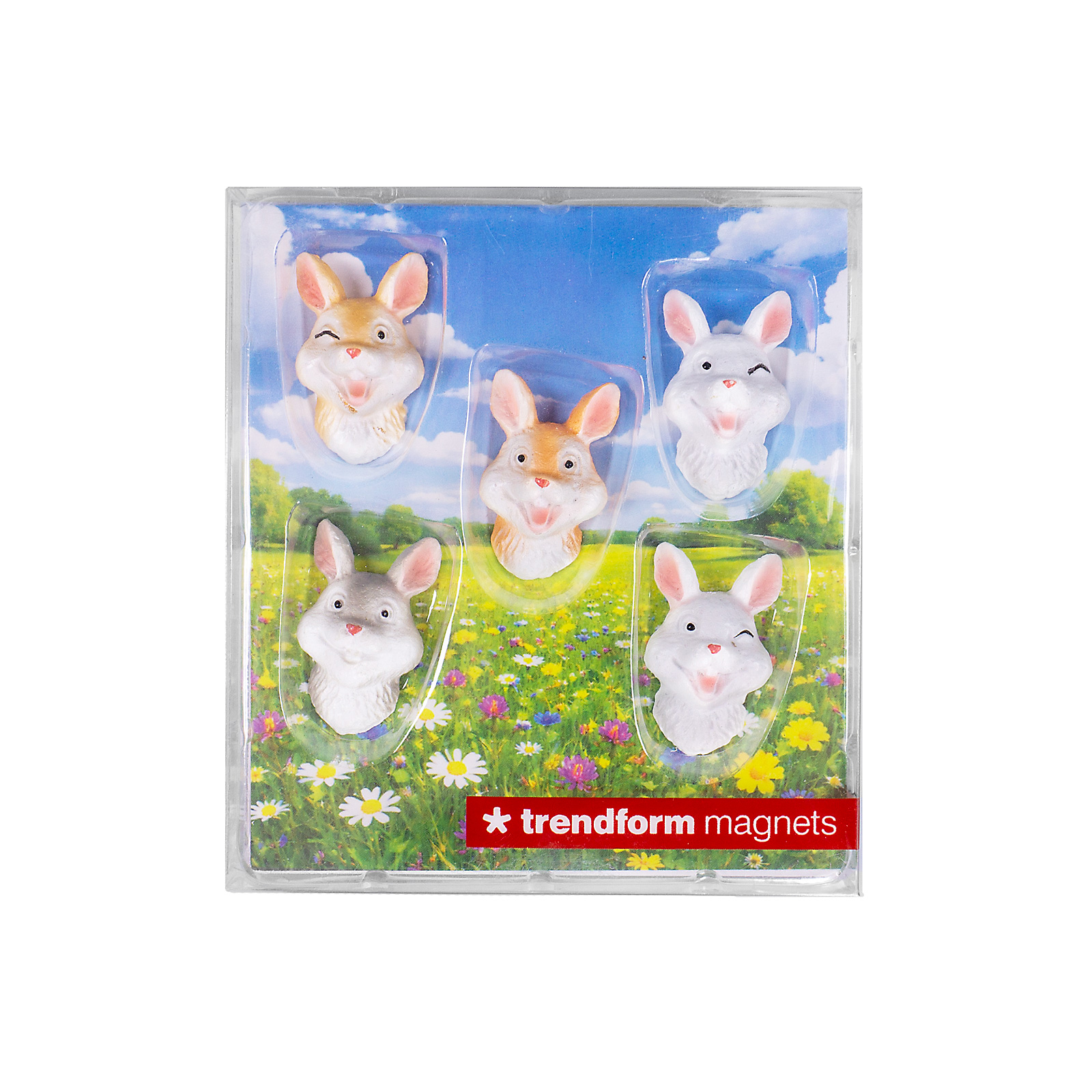 Magnete BUNNY 5er Set multicolor