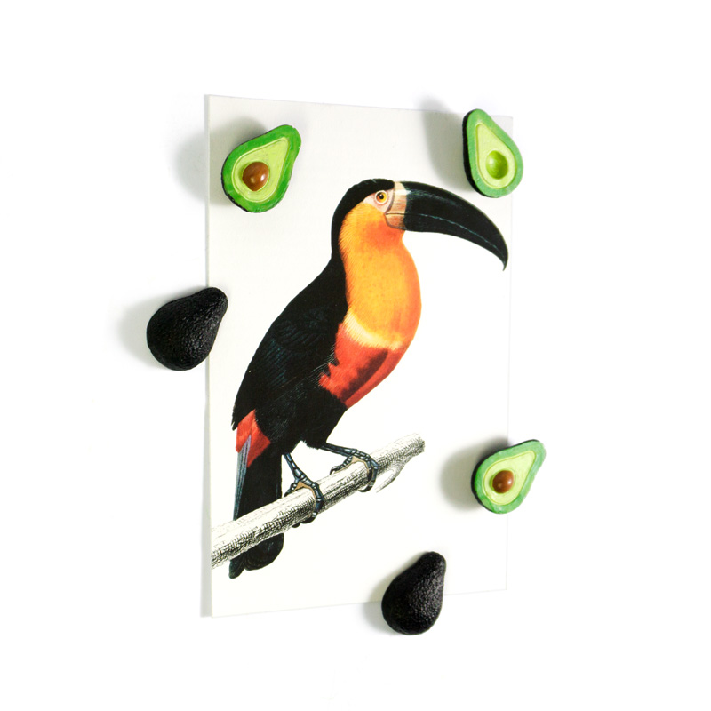 Magnete AVOCADO 5er Set grün 