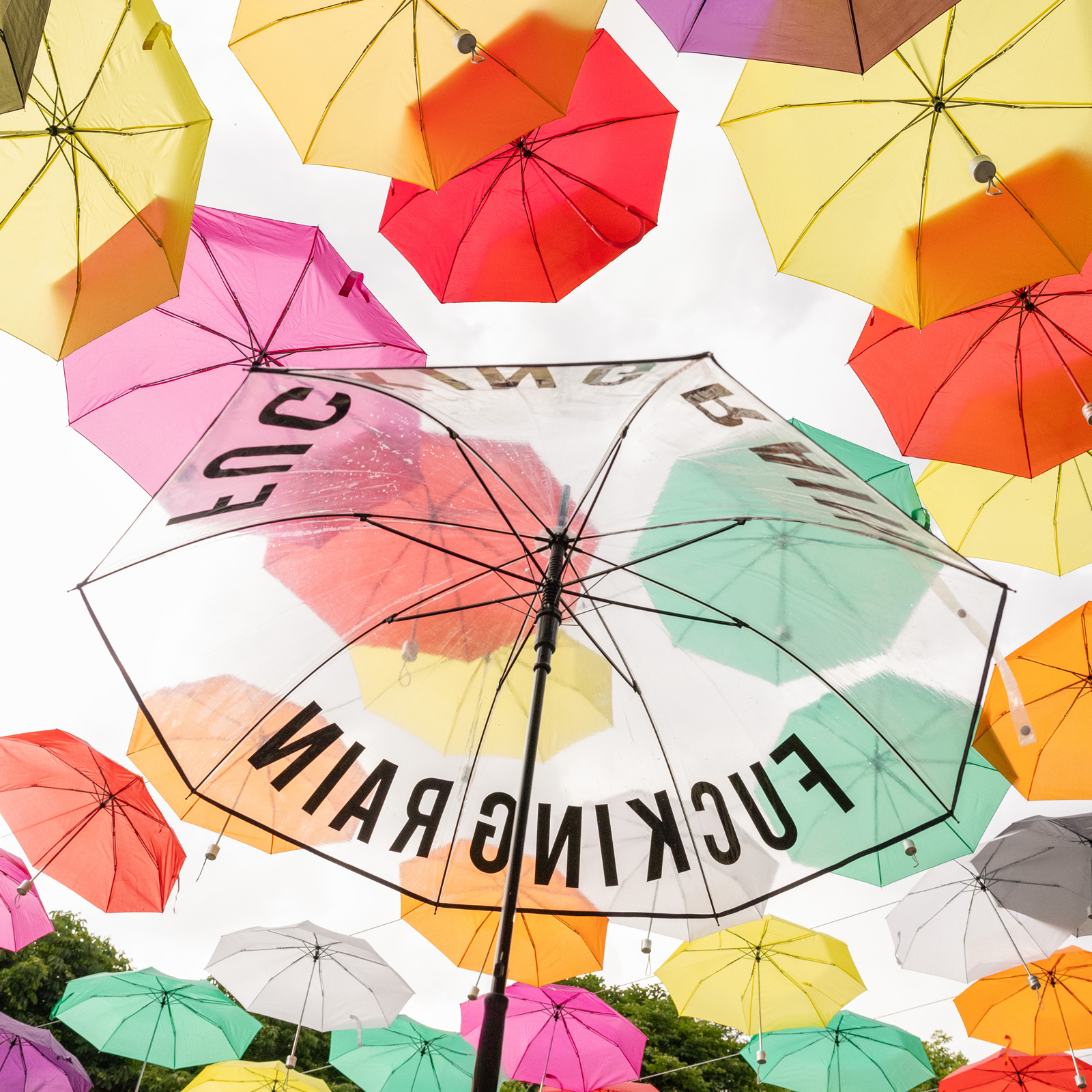 Stockschirm FUCKING RAIN transparent