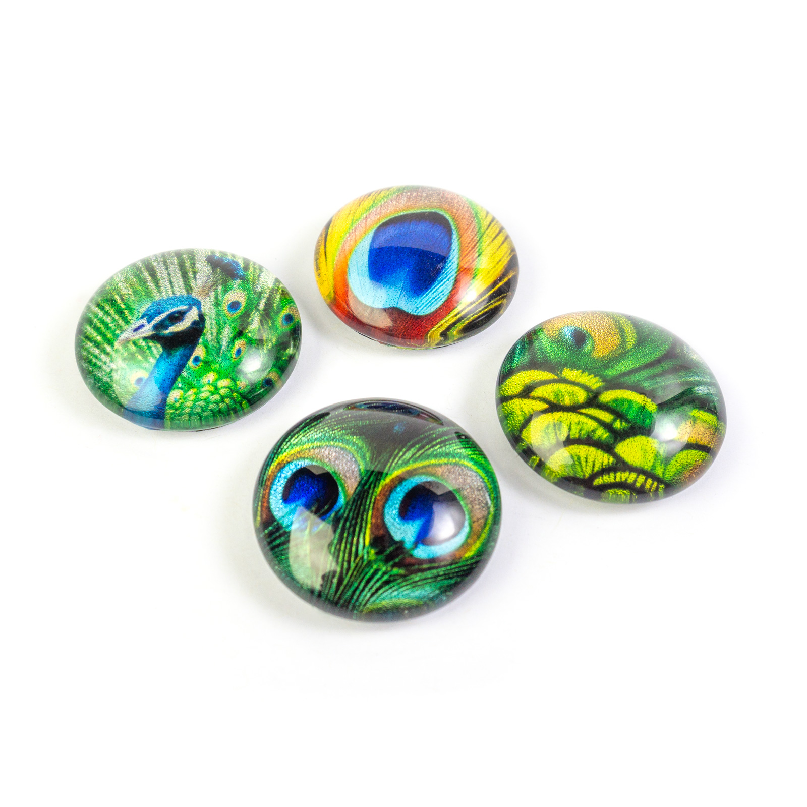 EYE magnets PEACOCK set of 4 