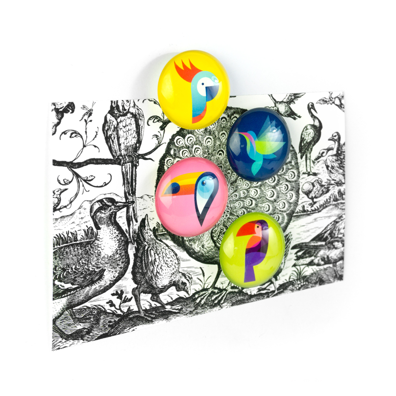 EYE magnets PARADISE set of 4 