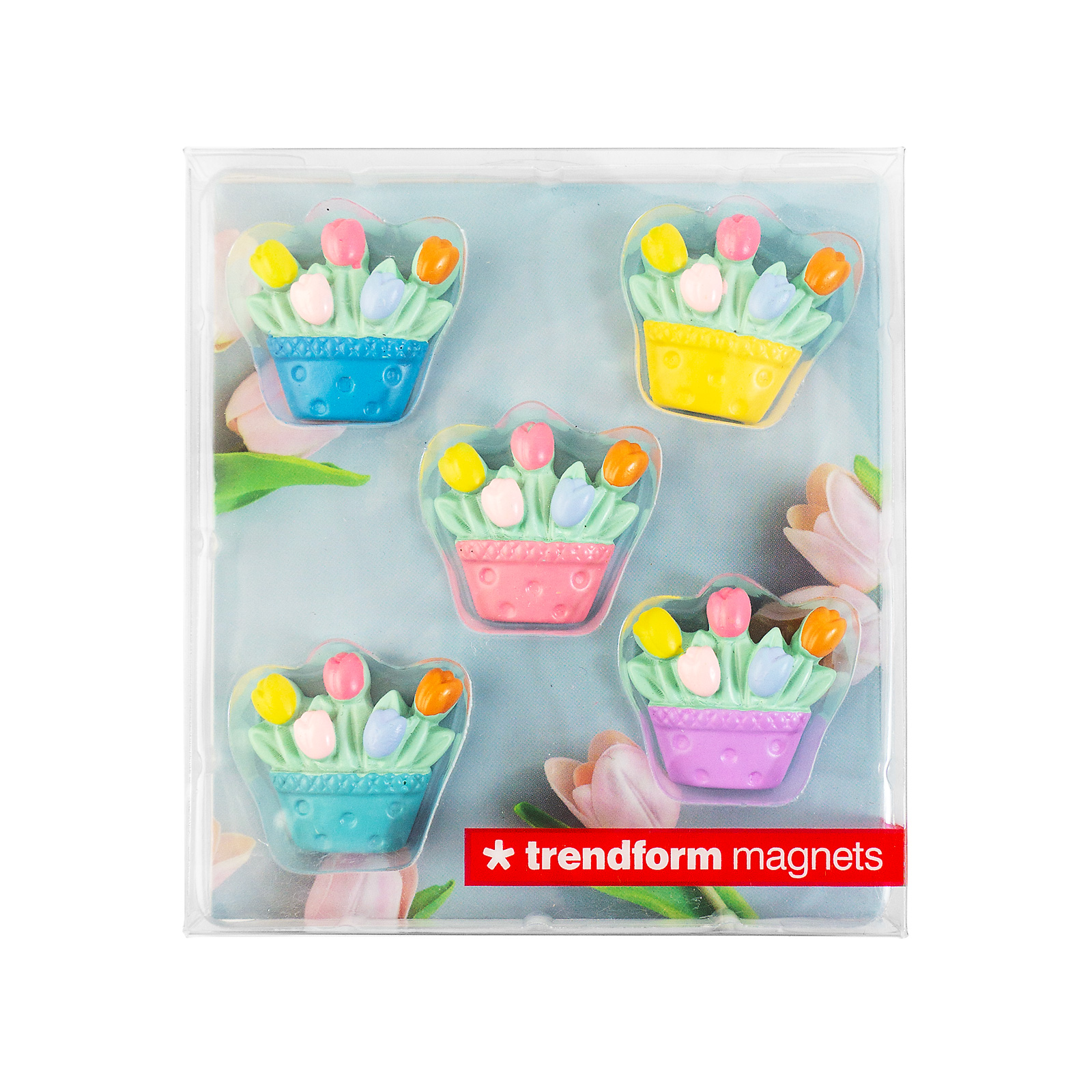 Magnets TULIP set of 5 multicolor 