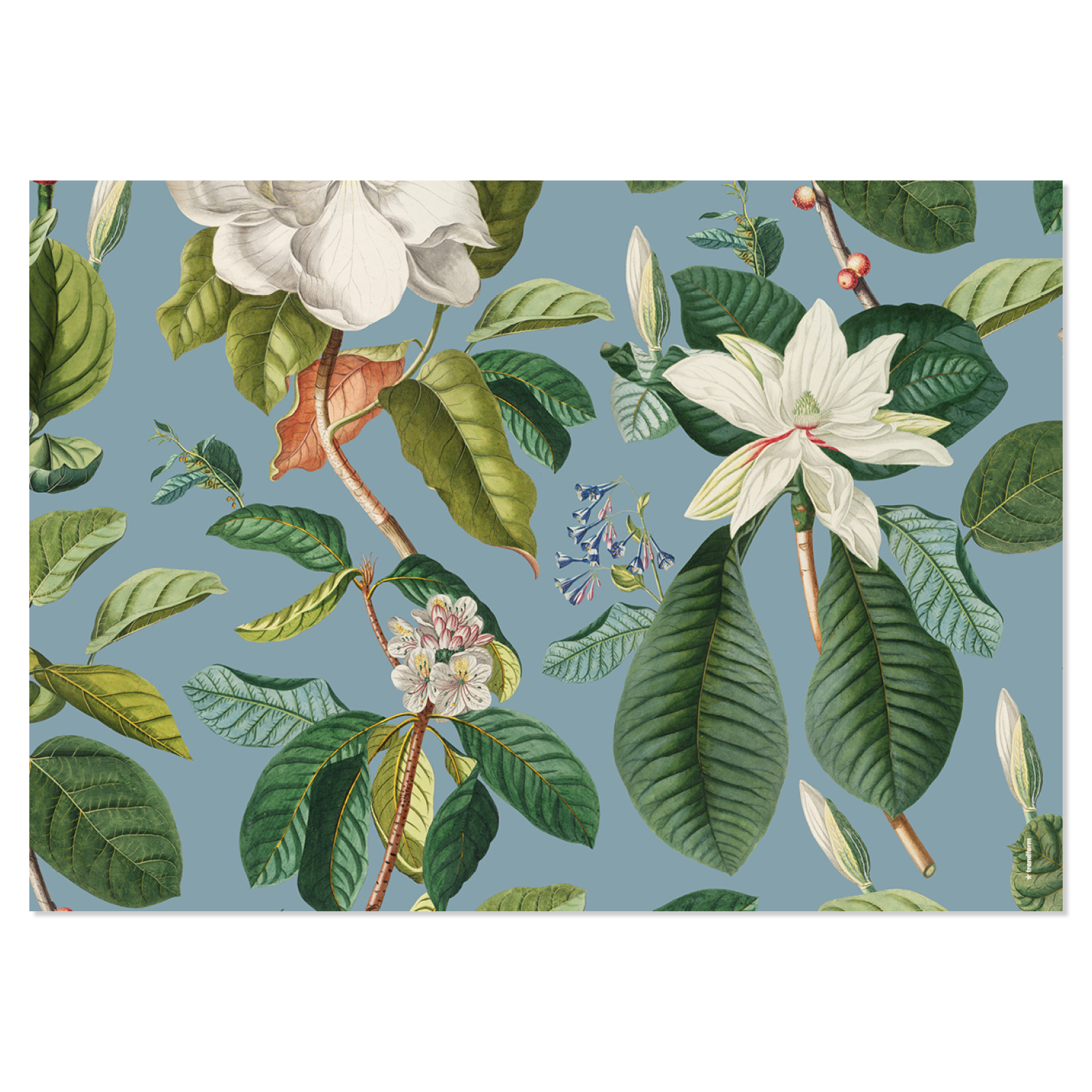 Paper placemat MAGNOLIA 4 x 12 sheets