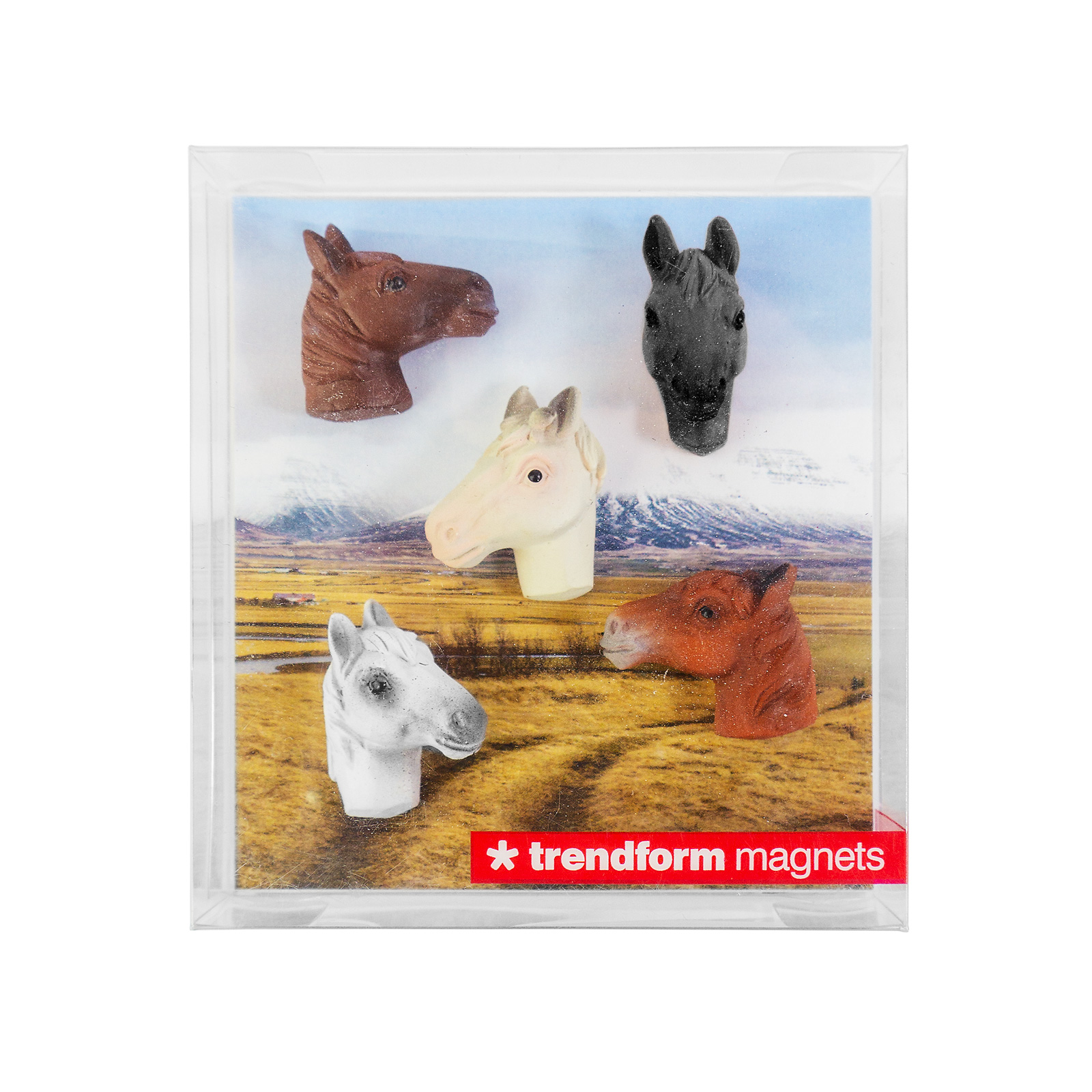 Magnets HORSE set of 5 multicolor 