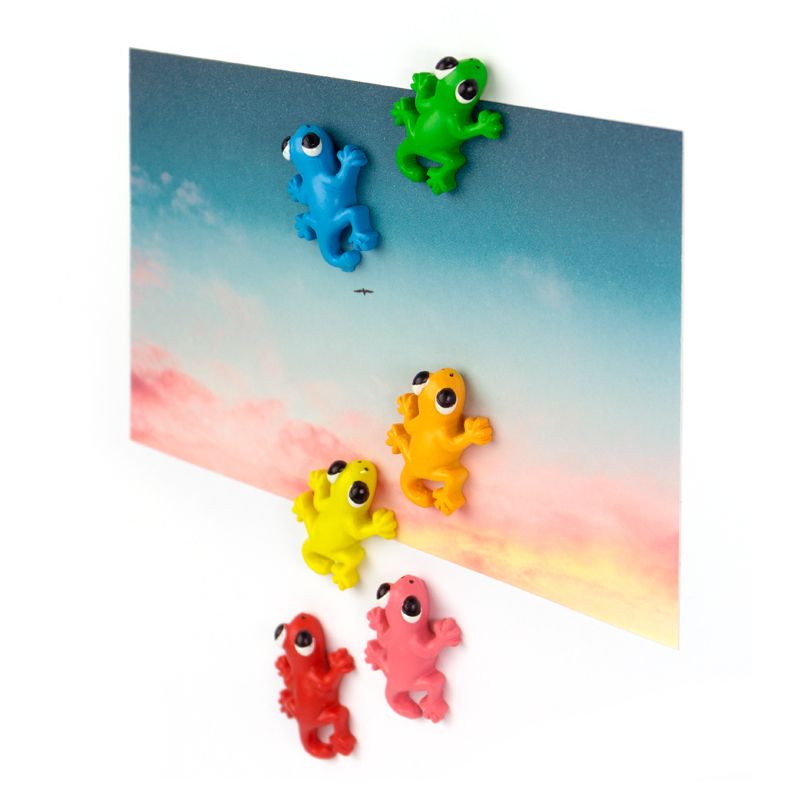 Magnete GECKO 6er Set multicolor 